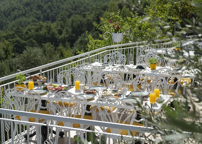 Apa Mountain Lodge